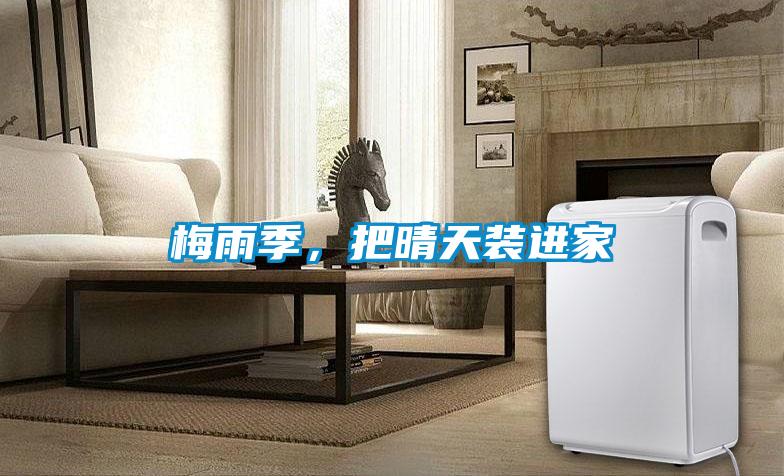 梅雨季，把晴天裝進家