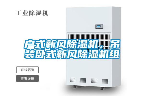 戶式新風(fēng)除濕機(jī),吊裝臥式新風(fēng)除濕機(jī)組