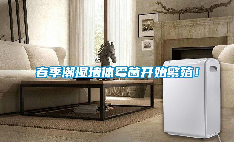 春季潮濕墻體霉菌開(kāi)始繁殖！