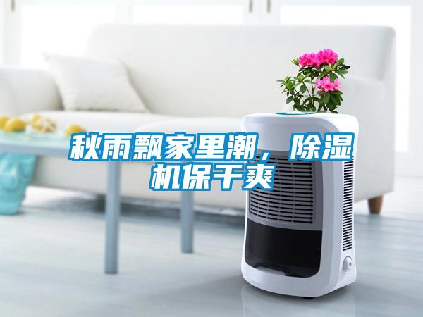 秋雨飄家里潮，除濕機保干爽