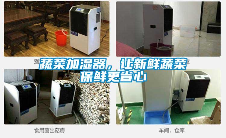 蔬菜加濕器，讓新鮮蔬菜保鮮更省心