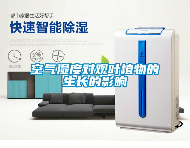 空氣濕度對(duì)觀(guān)葉植物的生長(zhǎng)的影響