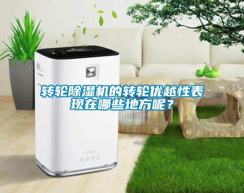 轉輪除濕機的轉輪優(yōu)越性表現在哪些地方呢？
