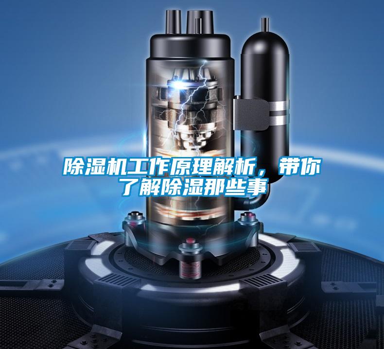 除濕機(jī)工作原理解析,帶你了解除濕那些事