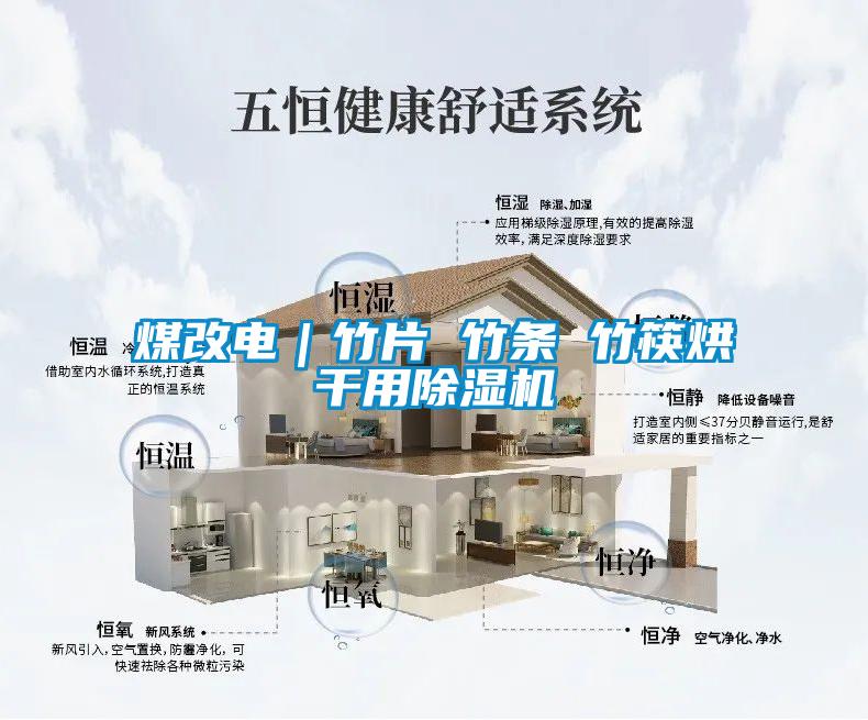煤改電|竹片 竹條 竹筷烘干用除濕機