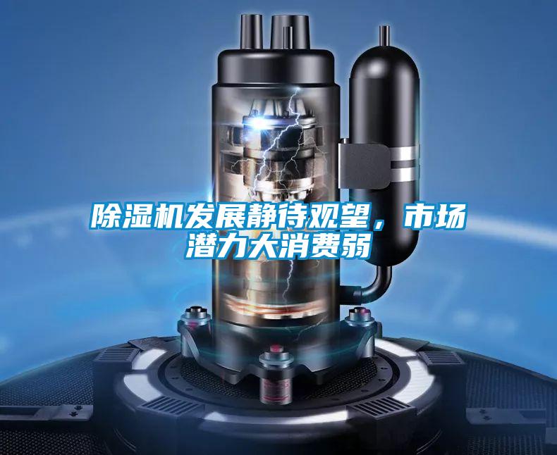 除濕機發展靜待觀望,市場潛力大消費弱