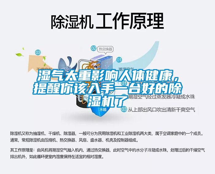 濕氣太重影響人體健康，提醒你該入手一臺好的除濕機了
