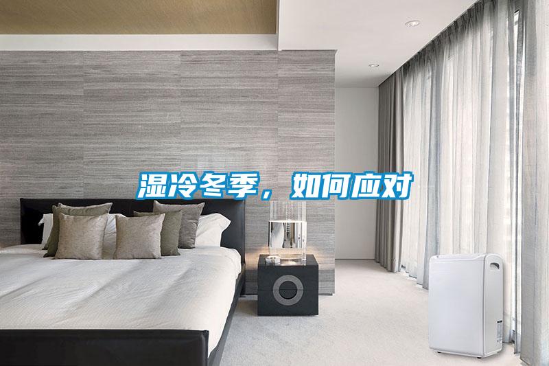 濕冷冬季,如何應對