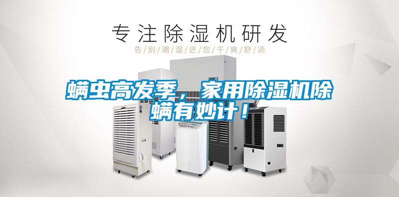 螨蟲高發季，家用除濕機除螨有妙計！