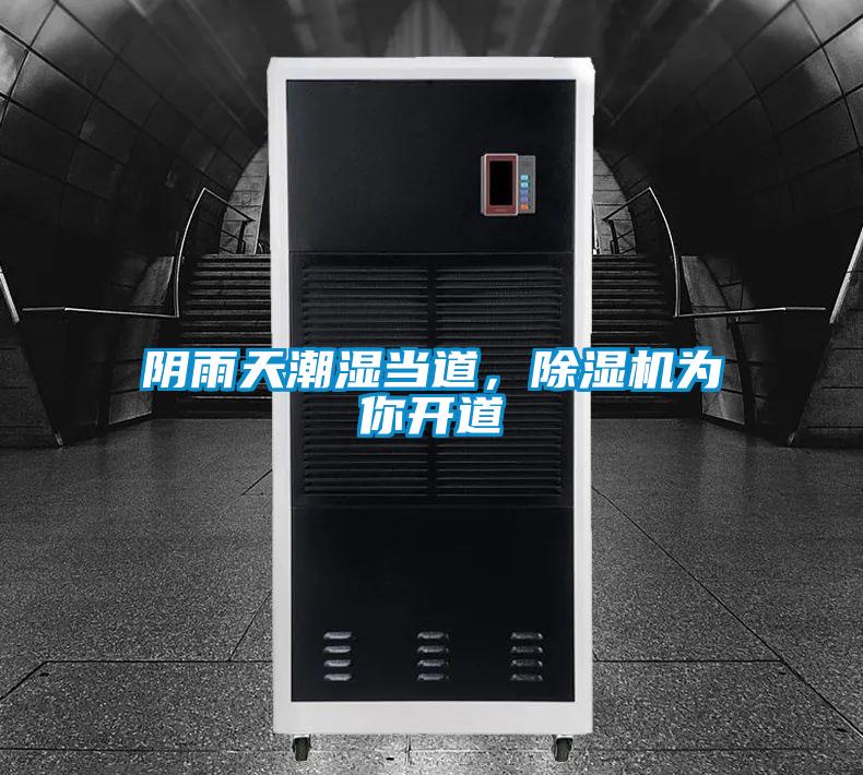 陰雨天潮濕當道，除濕機為你開道