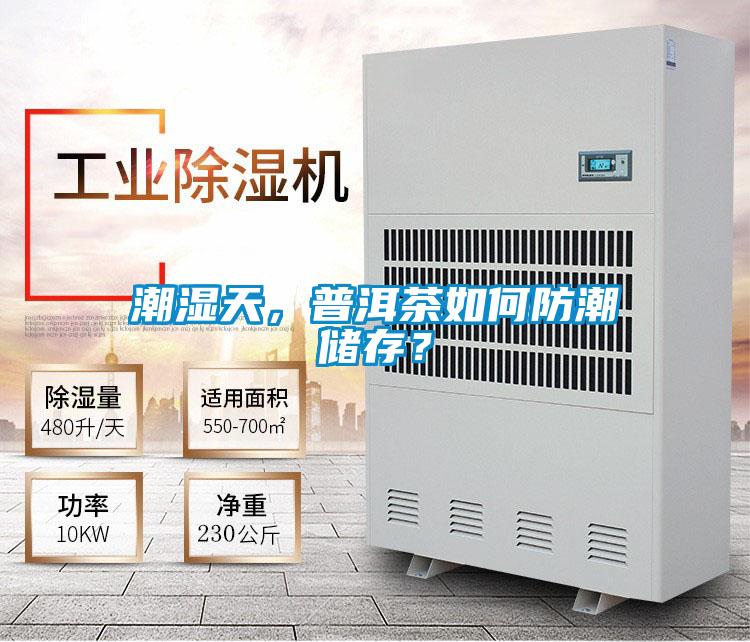 潮濕天，普洱茶如何防潮儲存？