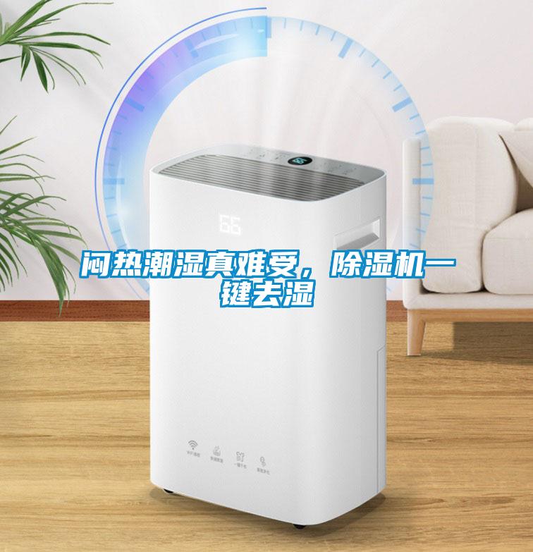 悶熱潮濕真難受，除濕機一鍵去濕