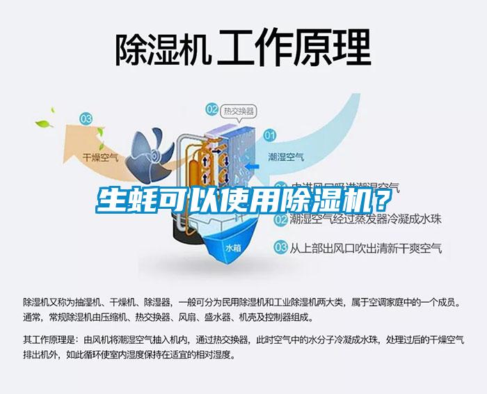 生蠔可以使用除濕機？