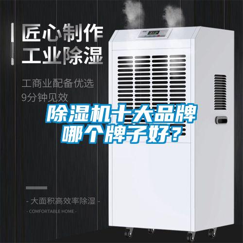 除濕機(jī)十大品牌哪個牌子好？