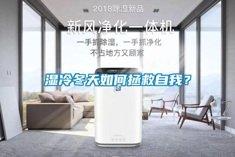 濕冷冬天如何拯救自我?
