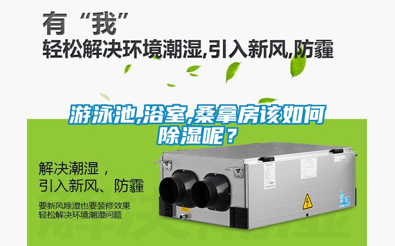 游泳池,浴室,桑拿房該如何除濕呢？
