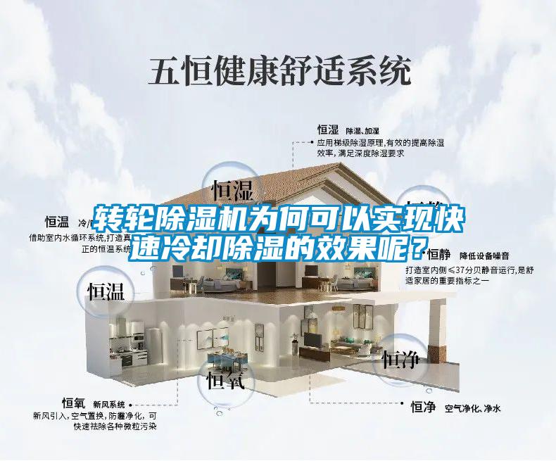 轉輪除濕機為何可以實現快速冷卻除濕的效果呢？