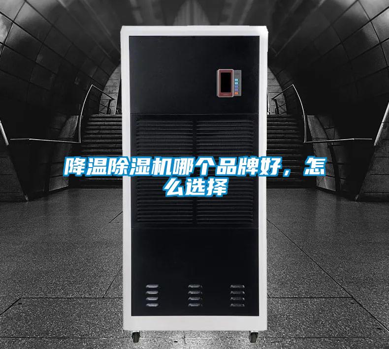 降溫除濕機(jī)哪個品牌好，怎么選擇