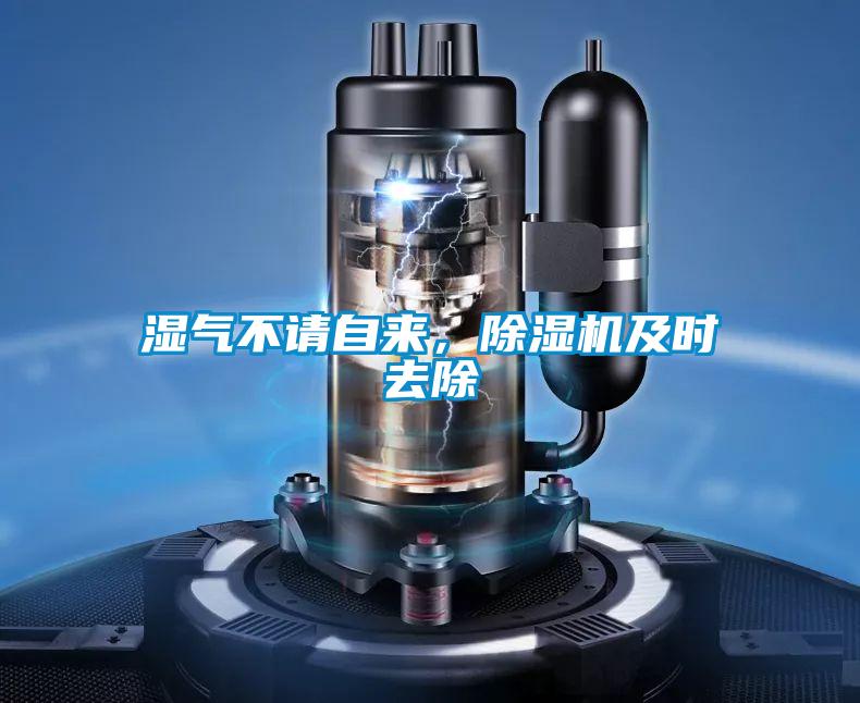 濕氣不請(qǐng)自來，除濕機(jī)及時(shí)去除