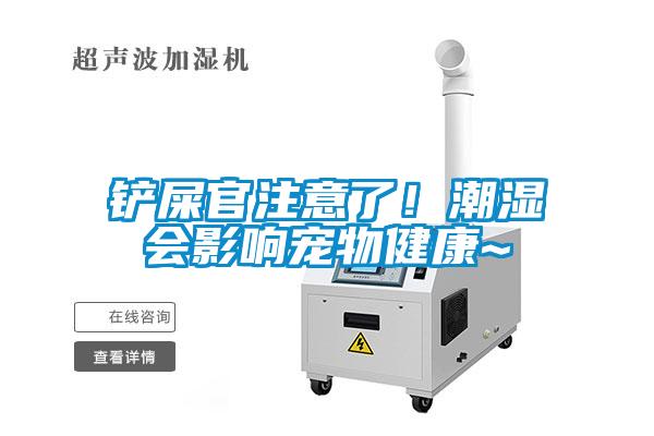 鏟屎官注意了！潮濕會影響寵物健康~