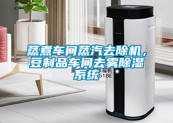 蒸煮車(chē)間蒸汽去除機(jī)，豆制品車(chē)間去霧除濕系統(tǒng)