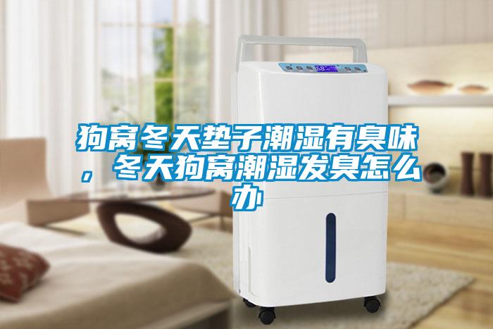 狗窩冬天墊子潮濕有臭味，冬天狗窩潮濕發臭怎么辦