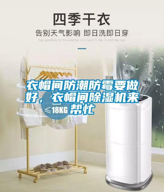 衣帽間防潮防霉要做好，衣帽間除濕機來幫忙