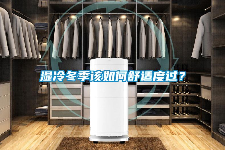 濕冷冬季該如何舒適度過?