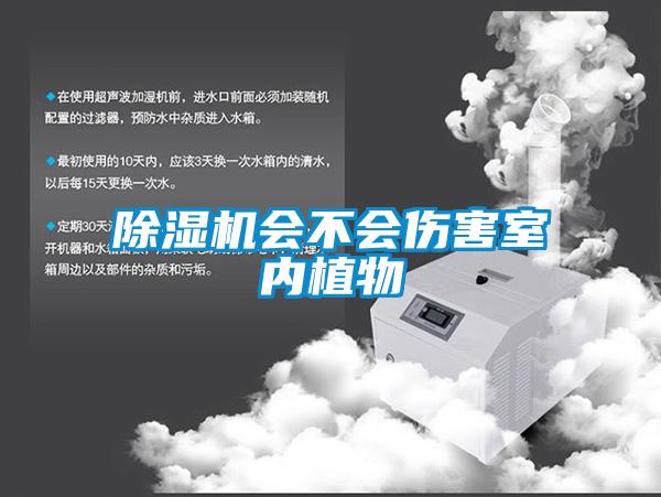 除濕機會不會傷害室內(nèi)植物