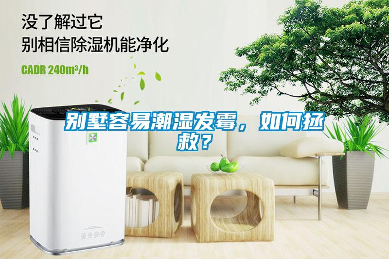 別墅容易潮濕發霉，如何拯救？