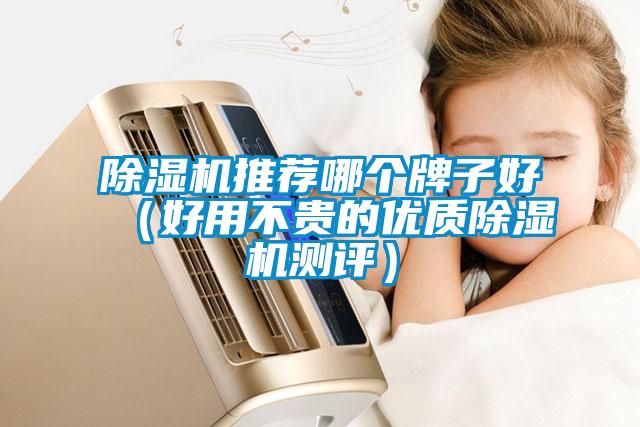 除濕機推薦哪個牌子好(好用不貴的優質除濕機測評)