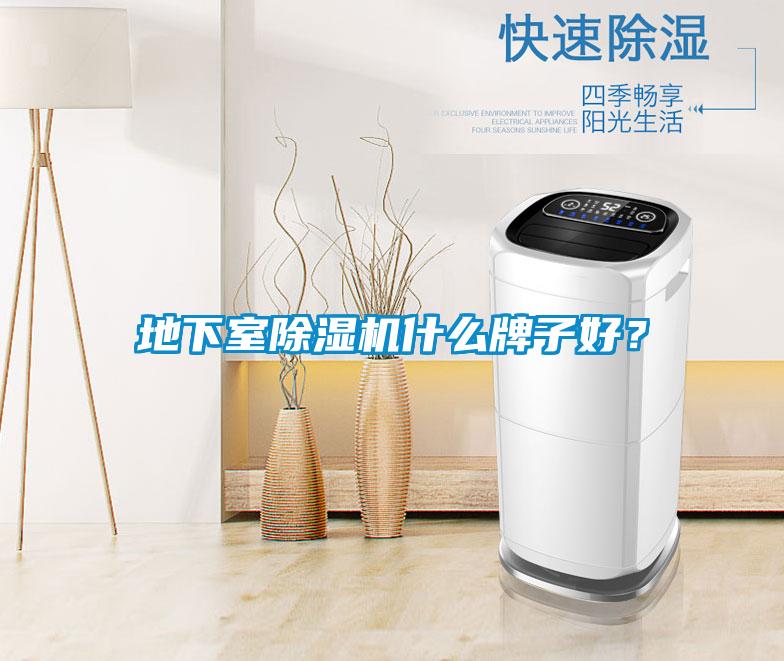 地下室除濕機什么牌子好?