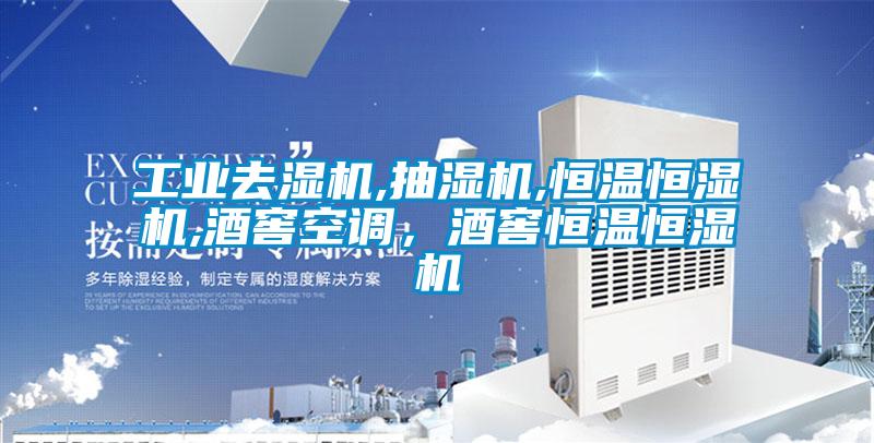 工業(yè)去濕機,抽濕機,恒溫恒濕機,酒窖空調(diào),酒窖恒溫恒濕機