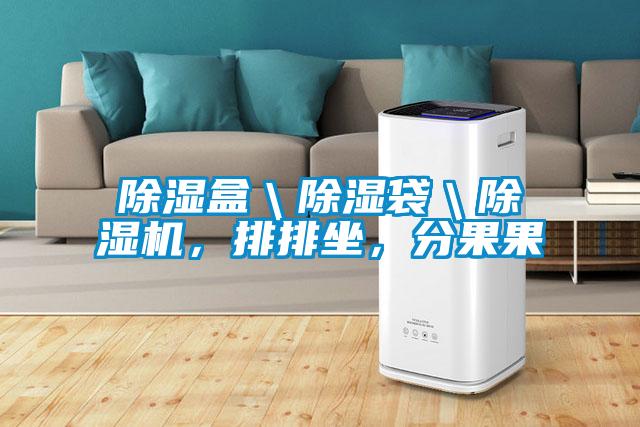 除濕盒＼除濕袋＼除濕機，排排坐，分果果