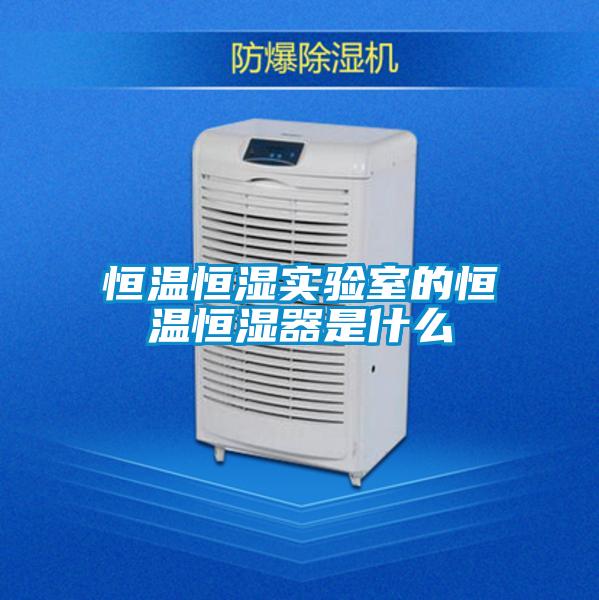 恒溫恒濕實(shí)驗室的恒溫恒濕器是什么