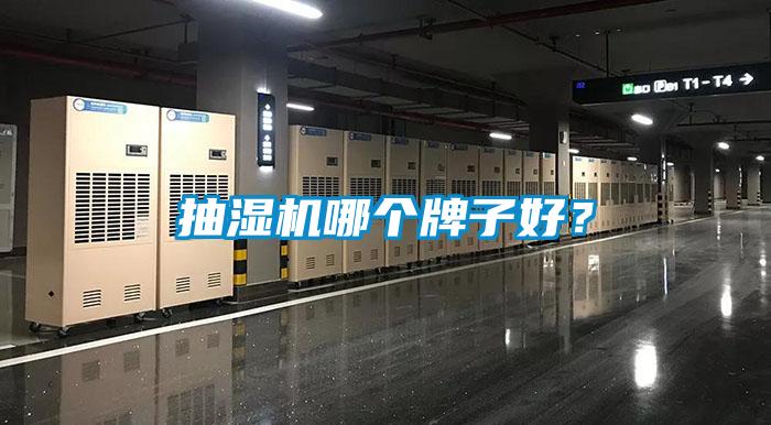 抽濕機哪個牌子好？