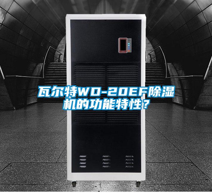 瓦爾特WD-20EF除濕機的功能特性?