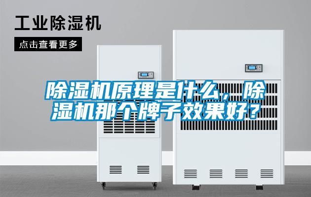 除濕機(jī)原理是什么，除濕機(jī)那個牌子效果好？
