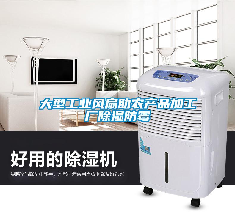 大型工業(yè)風扇助農產(chǎn)品加工廠除濕防霉