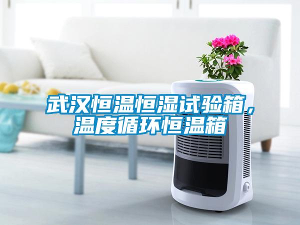 武漢恒溫恒濕試驗箱，溫度循環恒溫箱