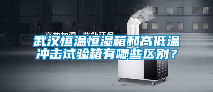 武漢恒溫恒濕箱和高低溫沖擊試驗(yàn)箱有哪些區(qū)別？