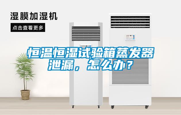 恒溫恒濕試驗箱蒸發器泄漏，怎么辦？