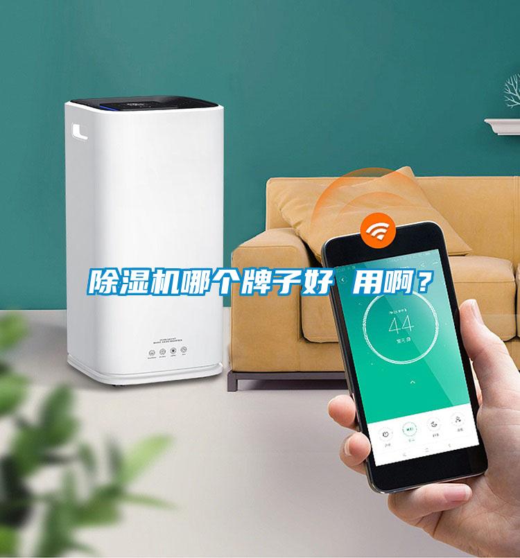 除濕機哪個牌子好 用??？