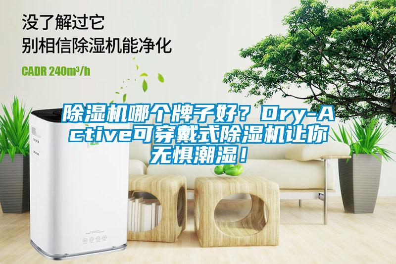 除濕機哪個牌子好？Dry-Active可穿戴式除濕機讓你無懼潮濕！