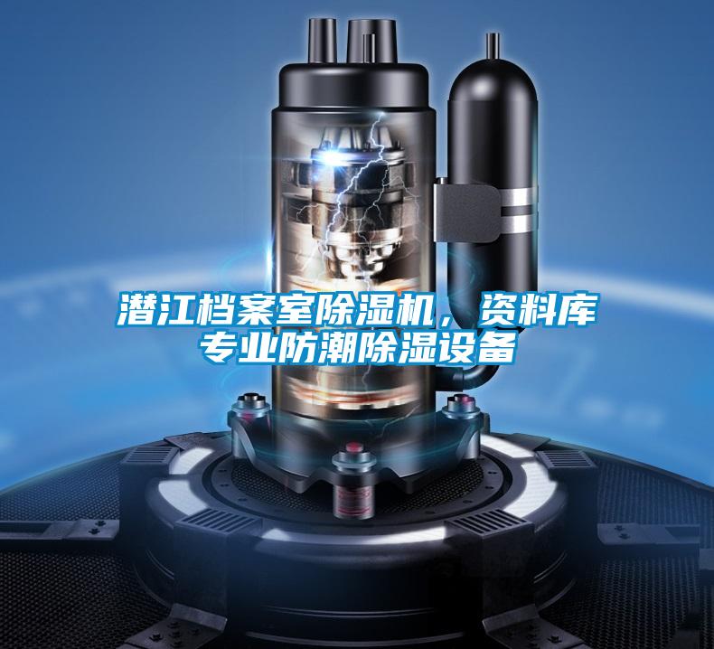 潛江檔案室除濕機(jī)，資料庫(kù)專業(yè)防潮除濕設(shè)備