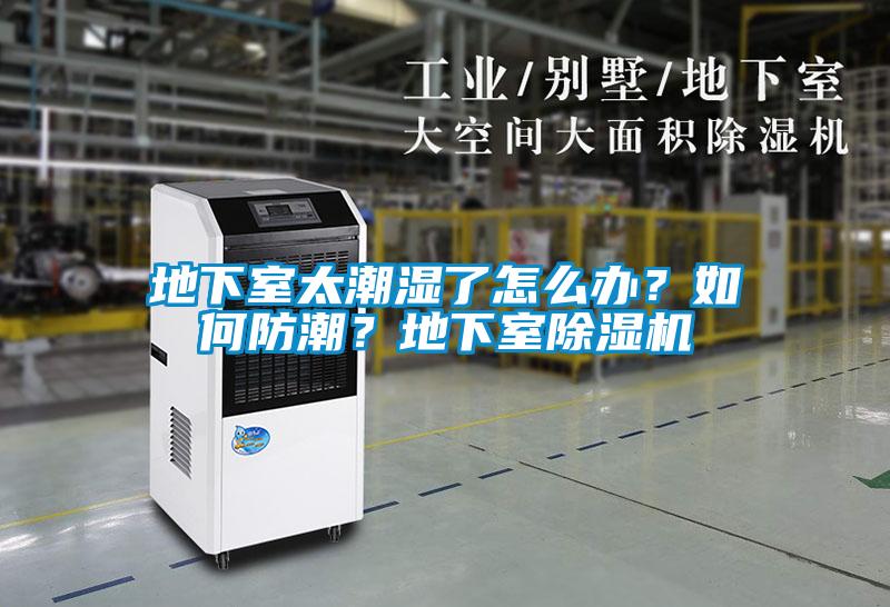 地下室太潮濕了怎么辦？如何防潮？地下室除濕機