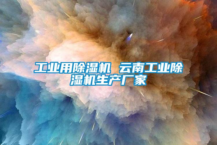 工業(yè)用除濕機(jī) 云南工業(yè)除濕機(jī)生產(chǎn)廠(chǎng)家