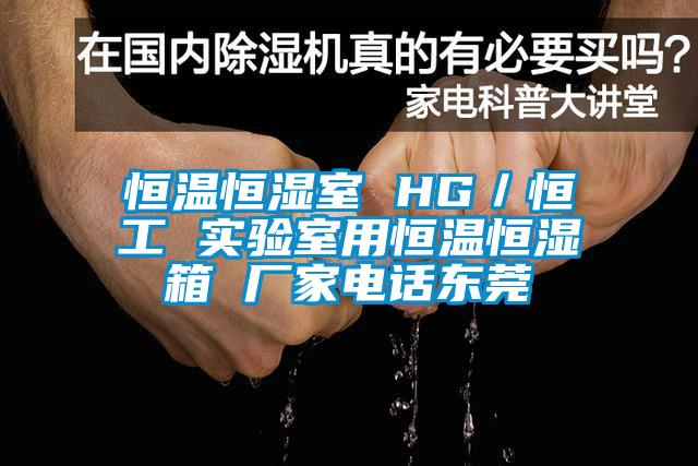 恒溫恒濕室 HG/恒工 實(shí)驗(yàn)室用恒溫恒濕箱 廠家電話東莞
