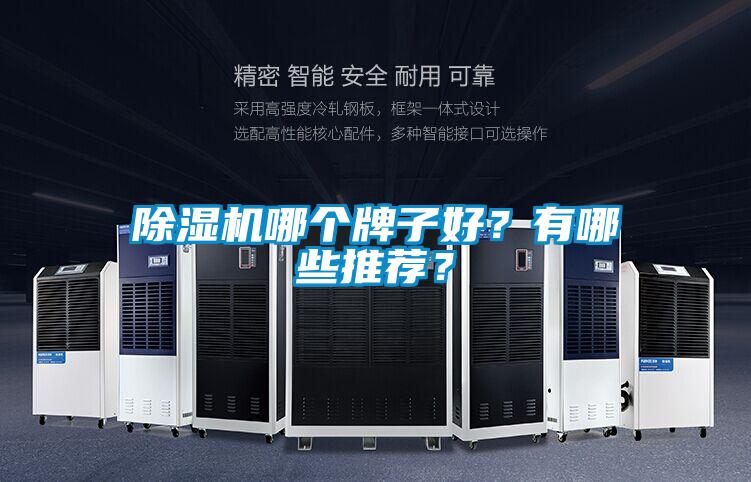 除濕機(jī)哪個牌子好？有哪些推薦？