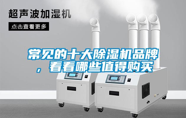 常見的十大除濕機品牌，看看哪些值得購買